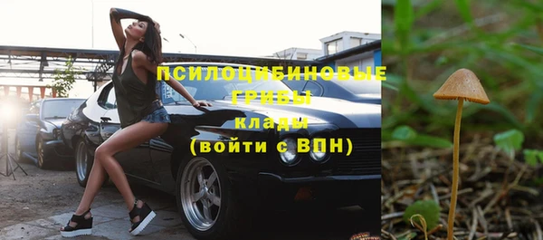 apvp Няндома