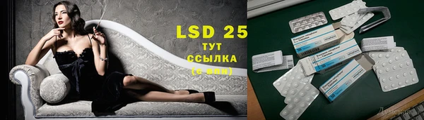 apvp Няндома