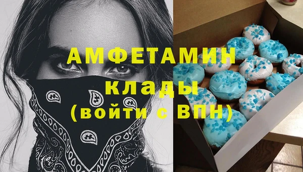 apvp Няндома
