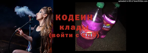 apvp Няндома