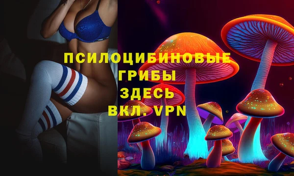 первитин Нягань