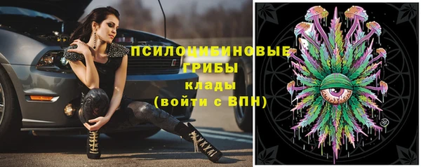 СК Тихвин