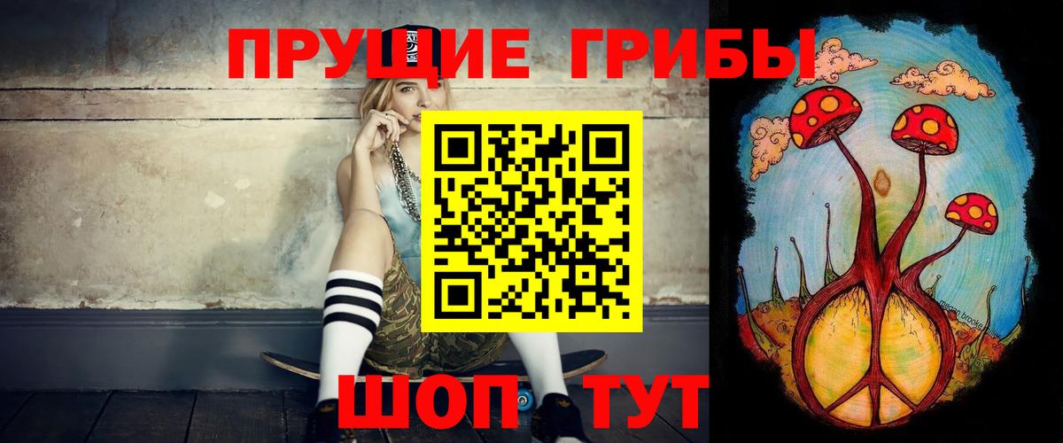 наркота  Белогорск  Псилоцибиновые грибы мицелий 