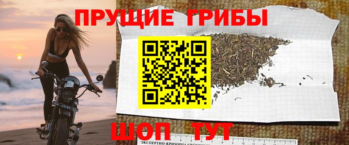 Галлюциногенные грибы GOLDEN TEACHER Белогорск