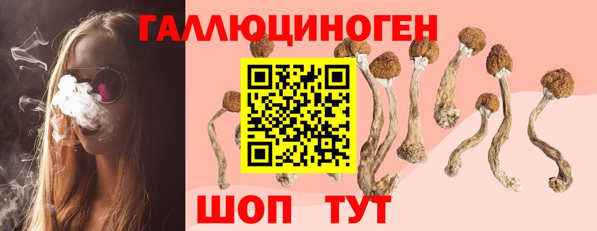 Галлюциногенные грибы Cubensis  Вход с VPN  Белогорск 